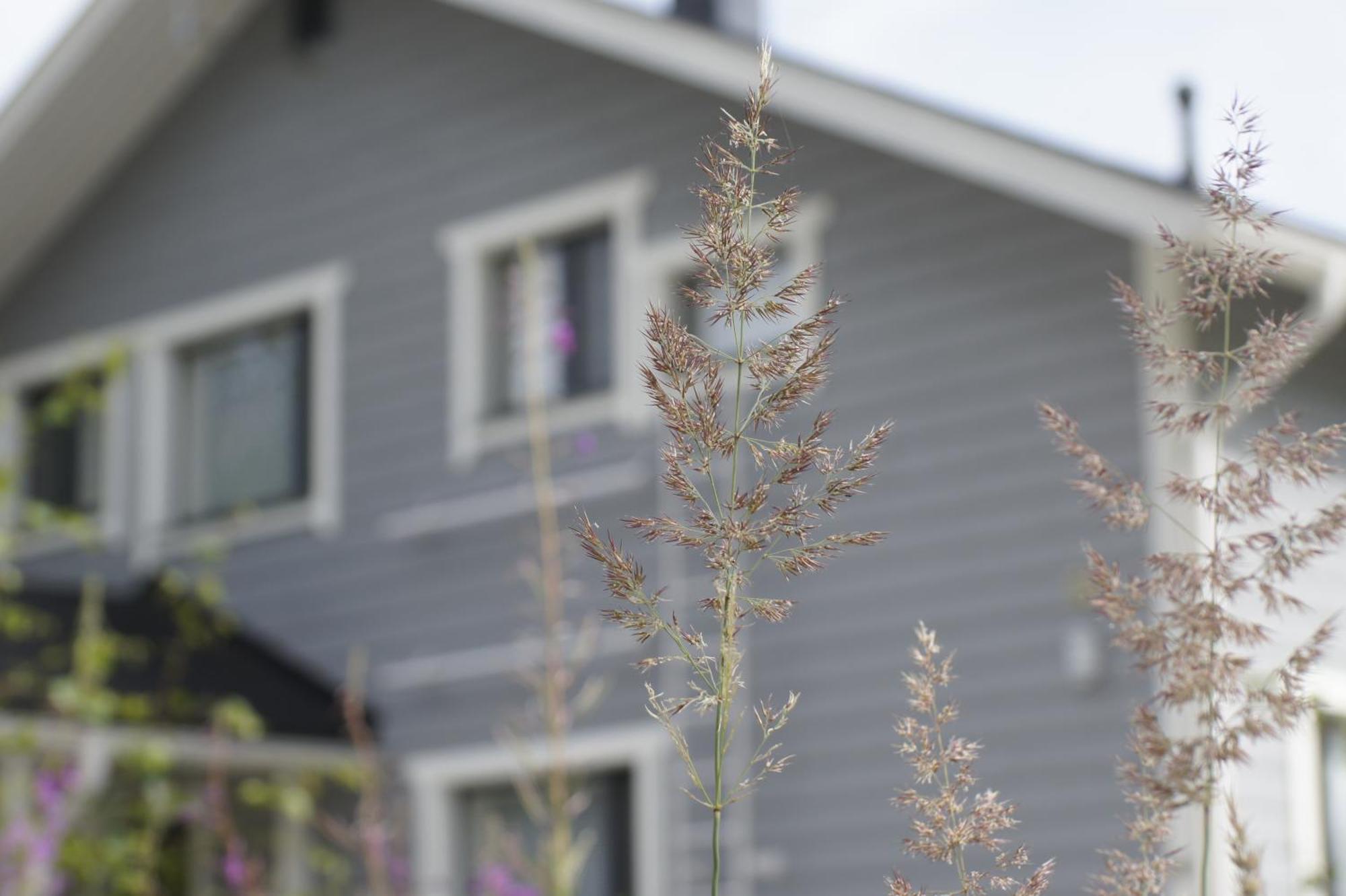 Matikkala Cottages Ruokolahti Eksteriør bilde